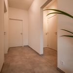 Rent 1 bedroom house of 50 m² in Ingelmunster