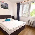 Rent 1 bedroom apartment of 46 m² in České Budějovice
