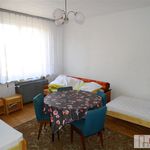 Rent 4 bedroom house of 220 m² in Kraków