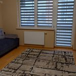 Rent 2 bedroom apartment of 56 m² in Radom