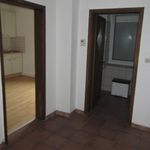 Rent 1 bedroom apartment of 48 m² in Forbach