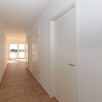 Miete 2 Schlafzimmer wohnung von 51 m² in Schkeuditz