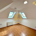 Rent 1 bedroom apartment of 230 m² in Senička
