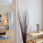 Rent 3 bedroom apartment of 108 m² in Budapest