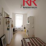Rent 1 bedroom apartment of 62 m² in Plzeň