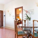 Rent 5 bedroom apartment of 120 m² in Pescara