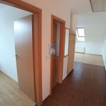 Rent 2 bedroom apartment of 60 m² in Pilsen