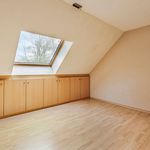 Rent 4 bedroom house of 20000 m² in Turnhout