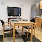 Rent 1 bedroom apartment of 34 m² in Lauf