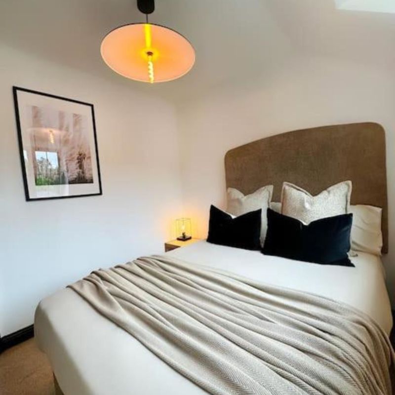 Scandinavian Stylish 4 bedroom (Has an Apartment) Blackley