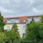 Miete 1 Schlafzimmer haus von 35 m² in Dresden