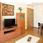 Rent 2 bedroom apartment of 55 m² in Alacant