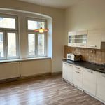 Rent 1 bedroom apartment of 49 m² in Děčín