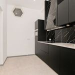 Rent 5 bedroom apartment of 150 m² in 's-Gravenhage