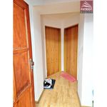 Rent 1 bedroom apartment of 31 m² in Olomouc