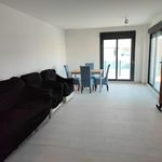 Rent 3 bedroom house of 110 m² in Elche