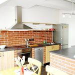 Rent 1 bedroom apartment of 120 m² in Kolín