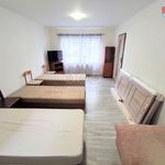 Rent 1 bedroom house of 80 m² in Bohumín