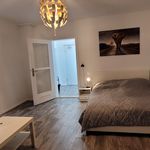 Miete 1 Schlafzimmer wohnung von 35 m² in Braunschweig