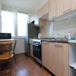 Rent 2 bedroom apartment of 38 m² in Goleniów