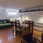 Rent 1 bedroom apartment of 73 m² in Roma