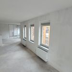Rent 1 bedroom apartment of 125 m² in Amsterdam