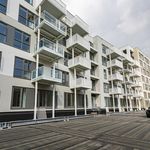Rent 1 bedroom apartment of 50 m² in Schiedam