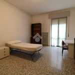 Affitto 4 camera appartamento di 110 m² in Pavia