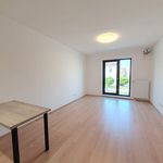 Rent 1 bedroom apartment of 32 m² in Olomouc