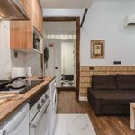 Rent 1 bedroom apartment of 45 m² in Madrid