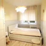 Rent 3 bedroom apartment of 52 m² in Łódź