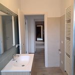 Rent 3 bedroom apartment of 85 m² in Oviglio