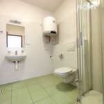 Rent 1 bedroom apartment in Vrchlabí