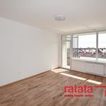 Rent 1 bedroom apartment of 65 m² in Chomutov