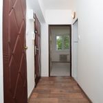 Rent 3 bedroom apartment of 57 m² in Mezibori