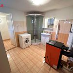 Rent 4 bedroom house in Zelenec