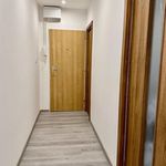 Rent 1 bedroom apartment of 61 m² in Vyškov