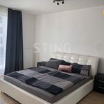 Rent 3 bedroom apartment of 97 m² in Ostrava