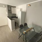 Rent 1 bedroom apartment of 47 m² in Sevilla