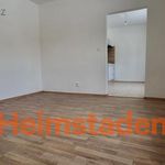 Rent 1 bedroom apartment of 31 m² in Havířov