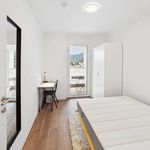 Zimmer von 60 m² in Graz