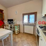 Rent 2 bedroom apartment of 40 m² in San Miniato