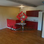 Rent 3 bedroom apartment of 69 m² in Grenoble