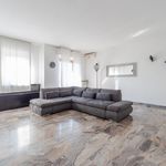 Rent 2 bedroom apartment of 125 m² in Milano