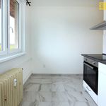 Rent 3 bedroom apartment of 70 m² in Osek