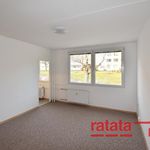 Rent 1 bedroom apartment of 27 m² in Most