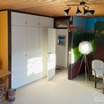 Miete 4 Schlafzimmer wohnung von 120 m² in Braunschweig