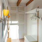 Rent 3 bedroom apartment of 100 m² in Dresden