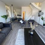 Rent 3 bedroom apartment of 80 m² in Leiden