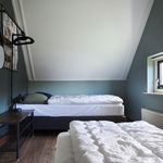 Rent 5 bedroom house in Vlagtwedde